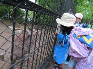 105745_01.jpg