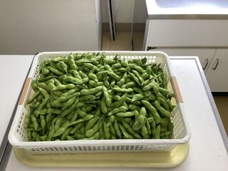 105930_01.jpg