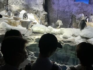105957_02.jpeg