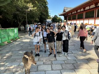 105976_03.jpeg